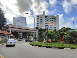 Blk 110 Bukit Purmei Road (Bukit Merah), HDB 3 Rooms #534022281